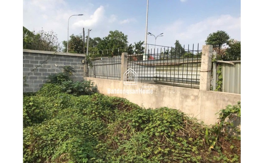 Đất Vuông SHR HXH 1440m2 – Trương Thị Như Hóc Môn